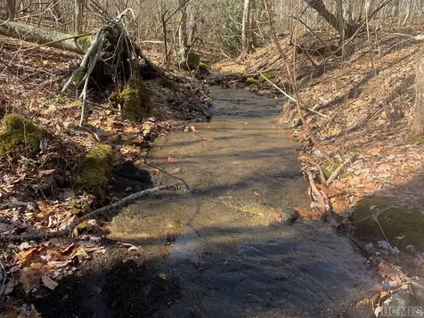 Lot 4 Broadview Lane Glenville NC 28736
