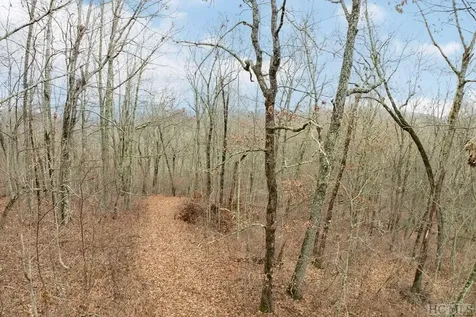 Lot 4 Broadview Lane Glenville NC 28736