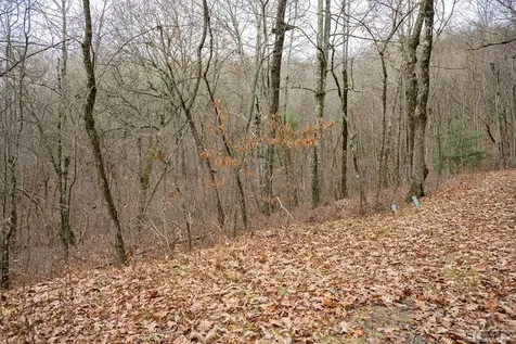 Lot 4 Broadview Lane Glenville NC 28736