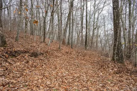 Lot 4 Broadview Lane Glenville NC 28736