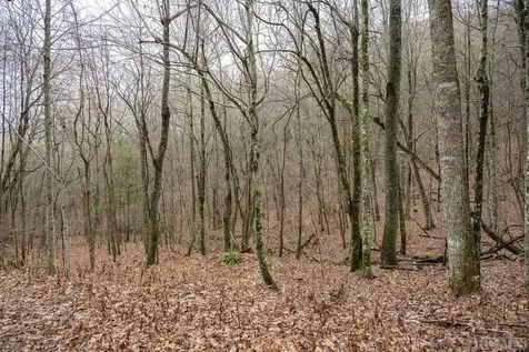 Lot 4 Broadview Lane Glenville NC 28736