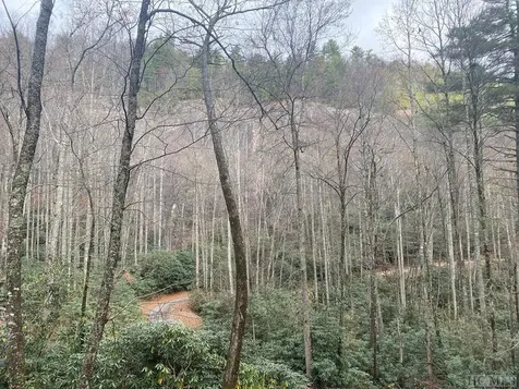 81 Toll House Lane Cashiers NC 28717