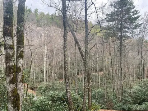 81 Toll House Lane Cashiers NC 28717