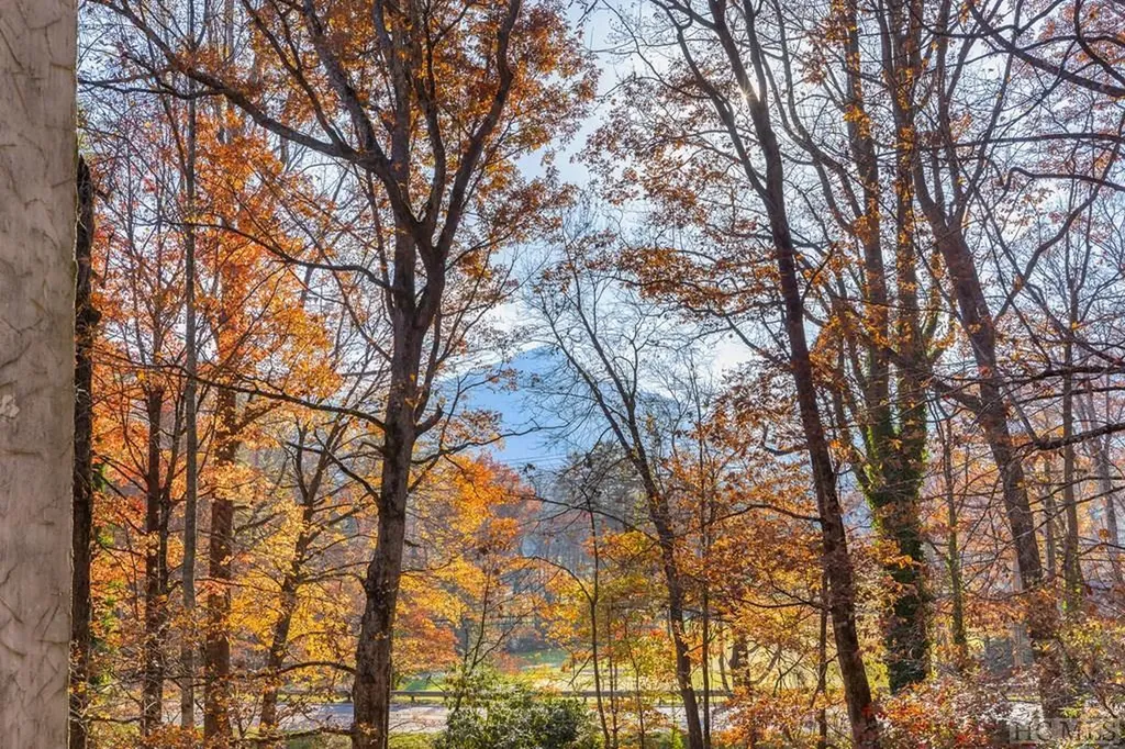 96-2C Dogwood Knob Lane Sapphire NC 28774