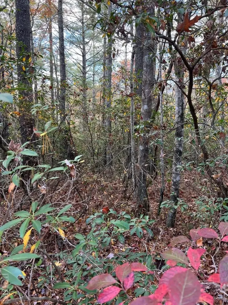 Lot 71 Big Pine Road Sapphire NC 28774