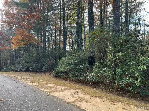 Lot 71 Big Pine Road Sapphire NC 28774