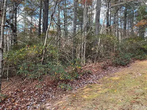 Lot 71 Big Pine Road Sapphire NC 28774