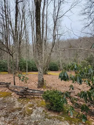 Lot 8 Highland Bog Court Sapphire NC 28774