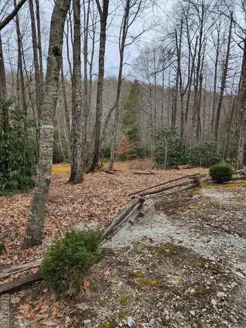 Lot 8 Highland Bog Court Sapphire NC 28774
