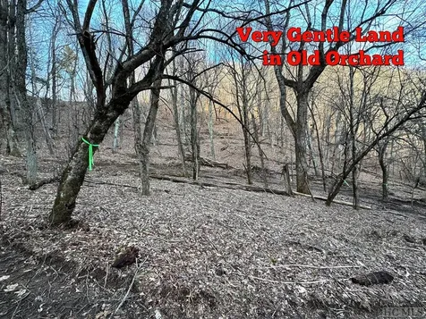 00 S Little Hog Back Mountain Lane Highlands NC 28741