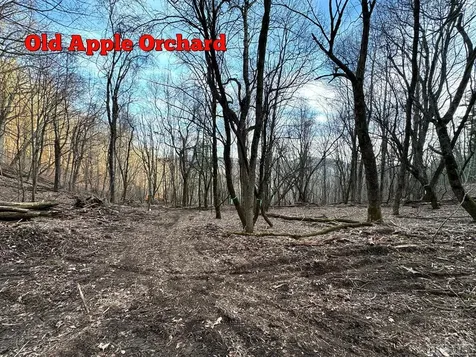 00 S Little Hog Back Mountain Lane Highlands NC 28741