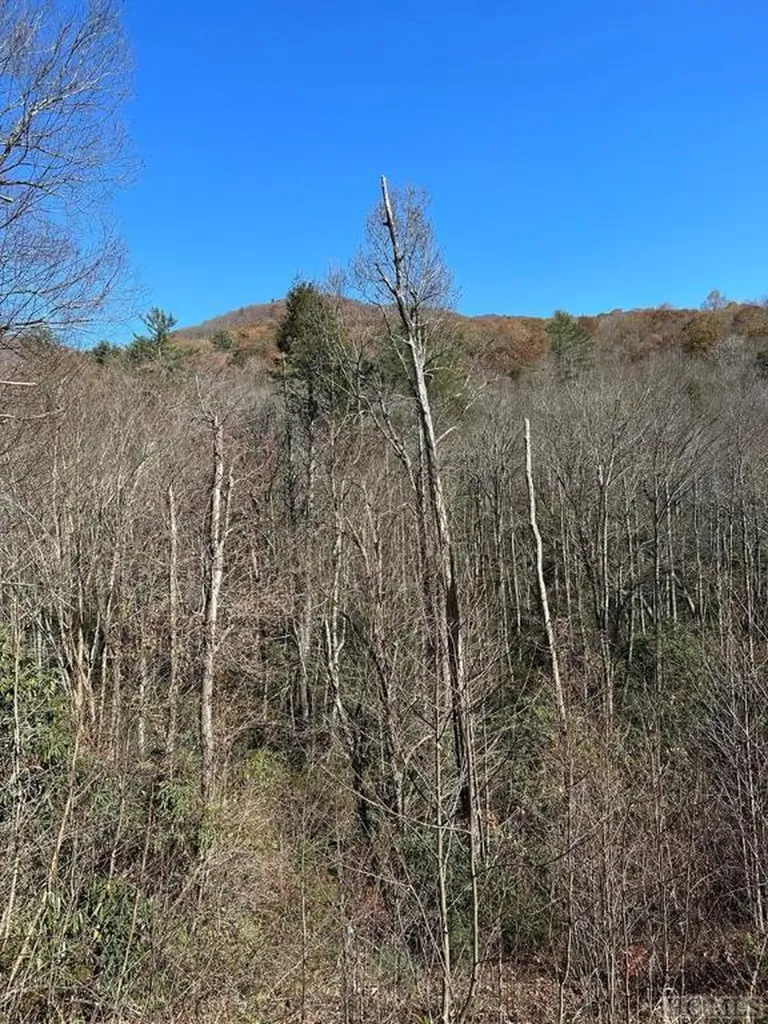 Lt 67 Willow Court Sapphire NC 28774