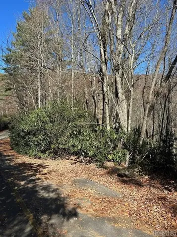 Lt 67 Willow Court Sapphire NC 28774