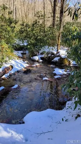 Lt 67 Willow Court Sapphire NC 28774