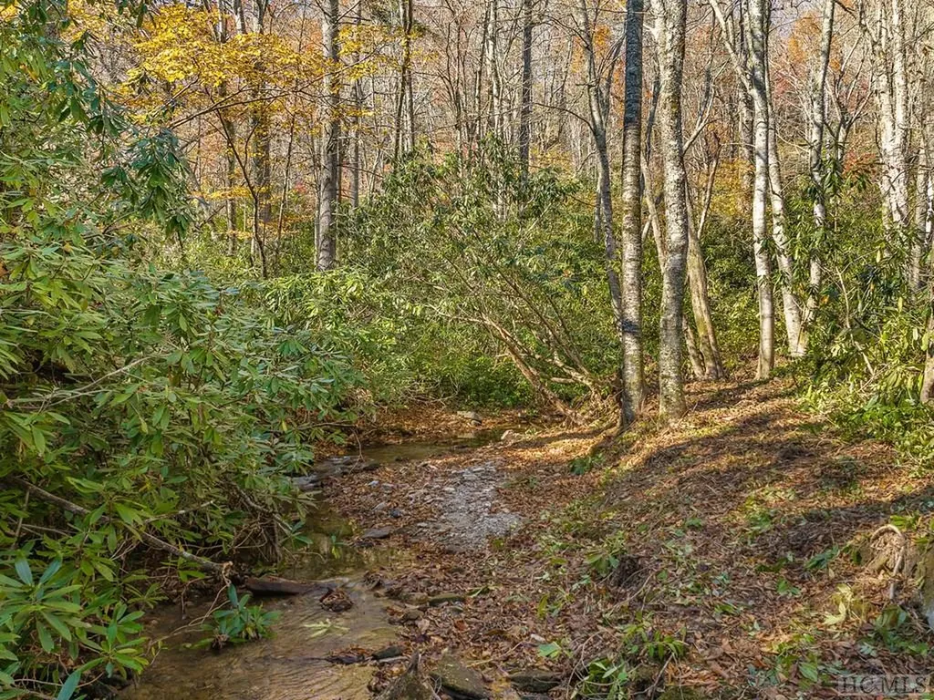 Tbd Cold Mountain Road Lake Toxaway NC 28747