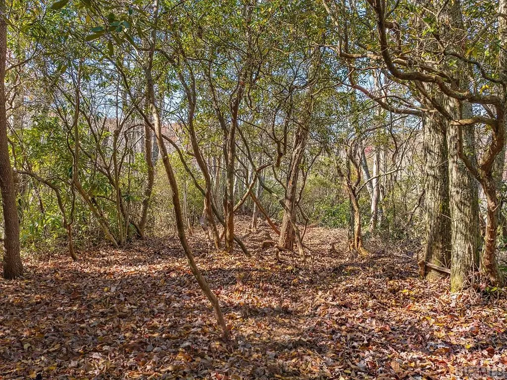 Tbd Cold Mountain Road Lake Toxaway NC 28747