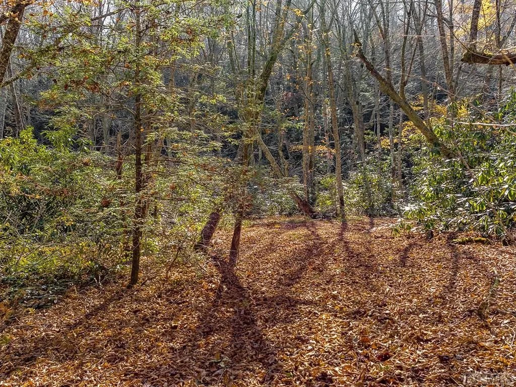 Tbd Cold Mountain Road Lake Toxaway NC 28747