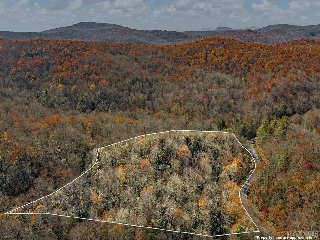 Tbd Cold Mountain Road Lake Toxaway NC 28747