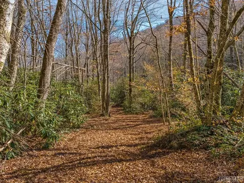 Tbd Cold Mountain Road Lake Toxaway NC 28747