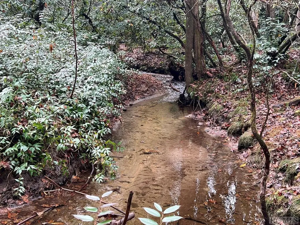 Lot 48 White Dogwood Court Sapphire NC 28774