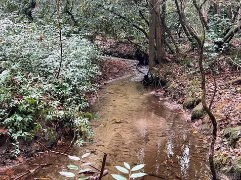 Lot 48 White Dogwood Court Sapphire NC 28774