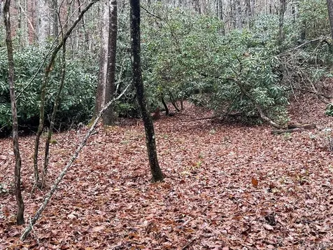 Lot 48 White Dogwood Court Sapphire NC 28774