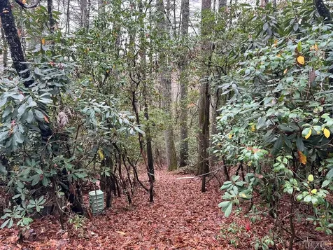 Lot 48 White Dogwood Court Sapphire NC 28774