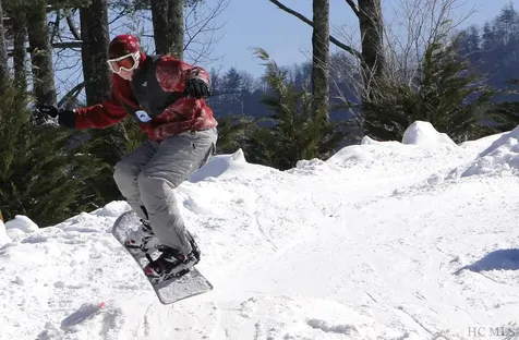 Lot 48 White Dogwood Court Sapphire NC 28774