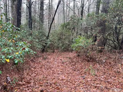 Lot 48 White Dogwood Court Sapphire NC 28774