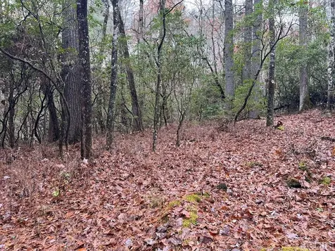 Lot 48 White Dogwood Court Sapphire NC 28774