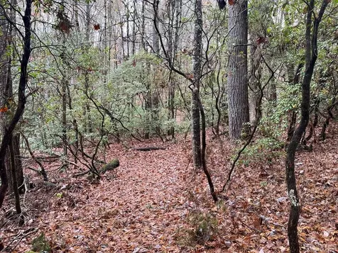 Lot 48 White Dogwood Court Sapphire NC 28774