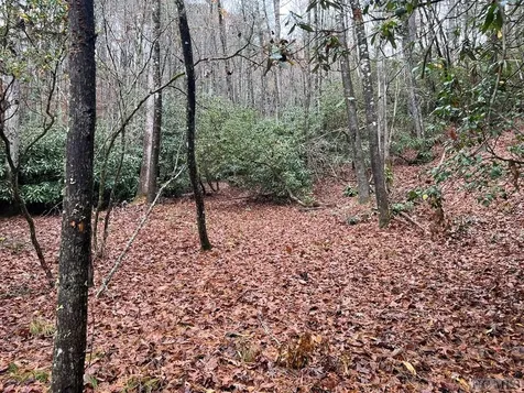 Lot 48 White Dogwood Court Sapphire NC 28774