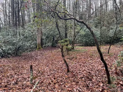 Lot 48 White Dogwood Court Sapphire NC 28774