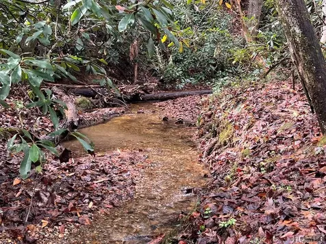 Lot 48 White Dogwood Court Sapphire NC 28774