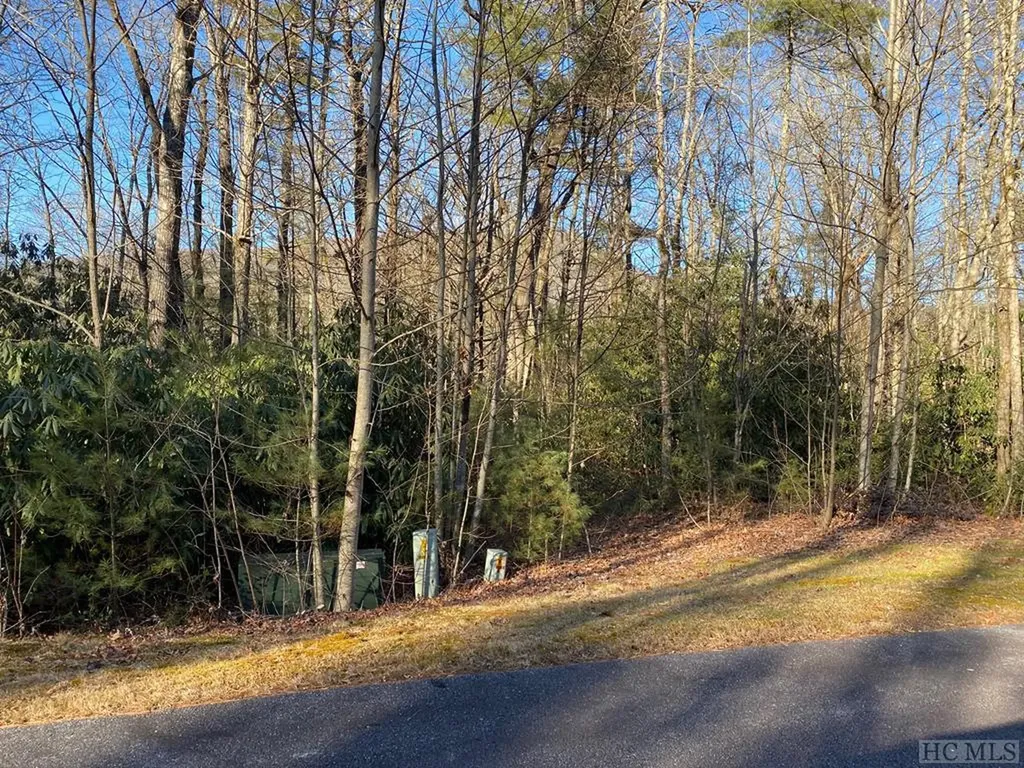 Lots 4&5 Heritage Drive Sapphire NC 28774