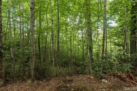 Lt 19/22 Winghaven Lane Cullowhee NC 28723