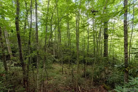 Lt 19/22 Winghaven Lane Cullowhee NC 28723