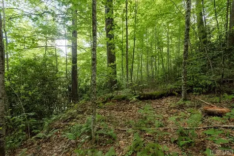 Lt 19/22 Winghaven Lane Cullowhee NC 28723
