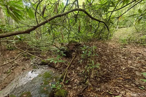 Lt 19/22 Winghaven Lane Cullowhee NC 28723