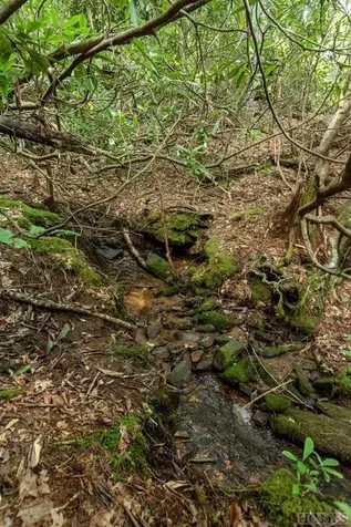 Lt 19/22 Winghaven Lane Cullowhee NC 28723