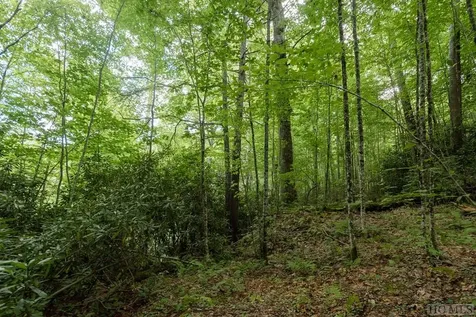 Lt 19/22 Winghaven Lane Cullowhee NC 28723