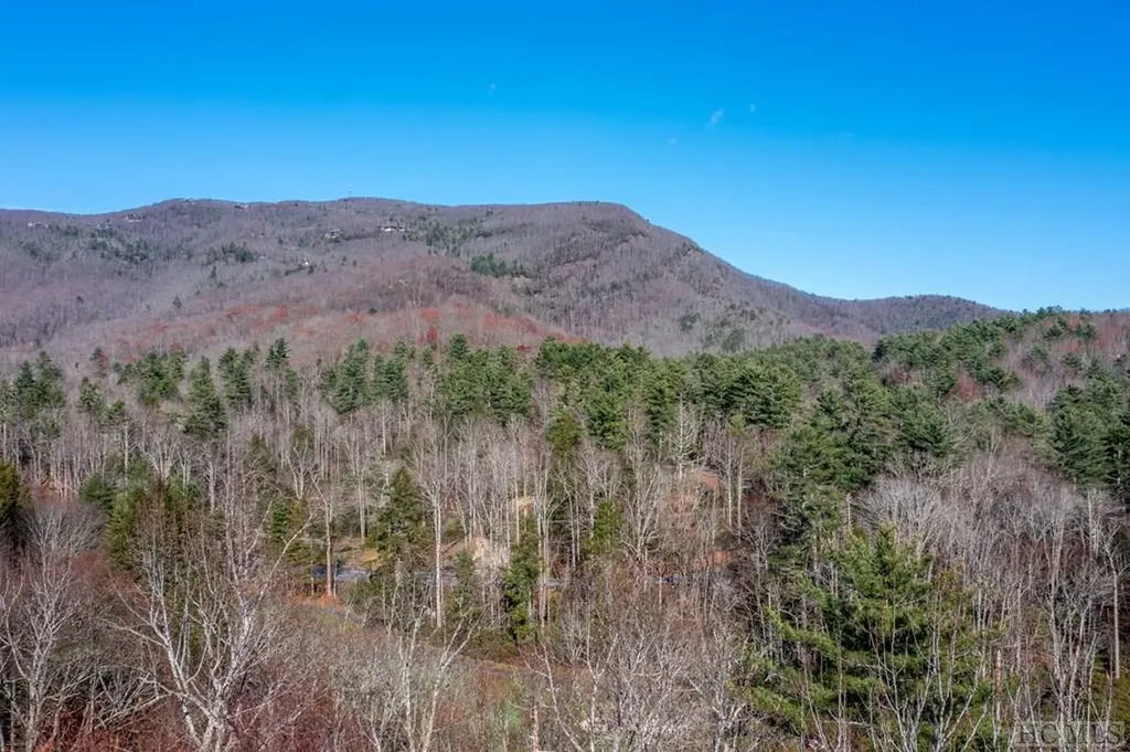 Lot 30 Boiling Springs Road Sapphire NC 28774