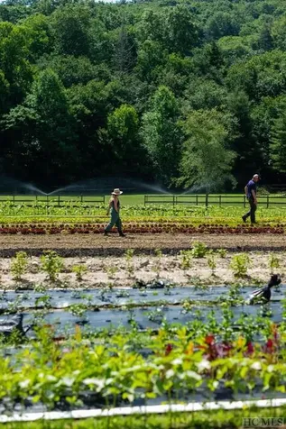 95B Burning Bush Lane Highlands NC 28741