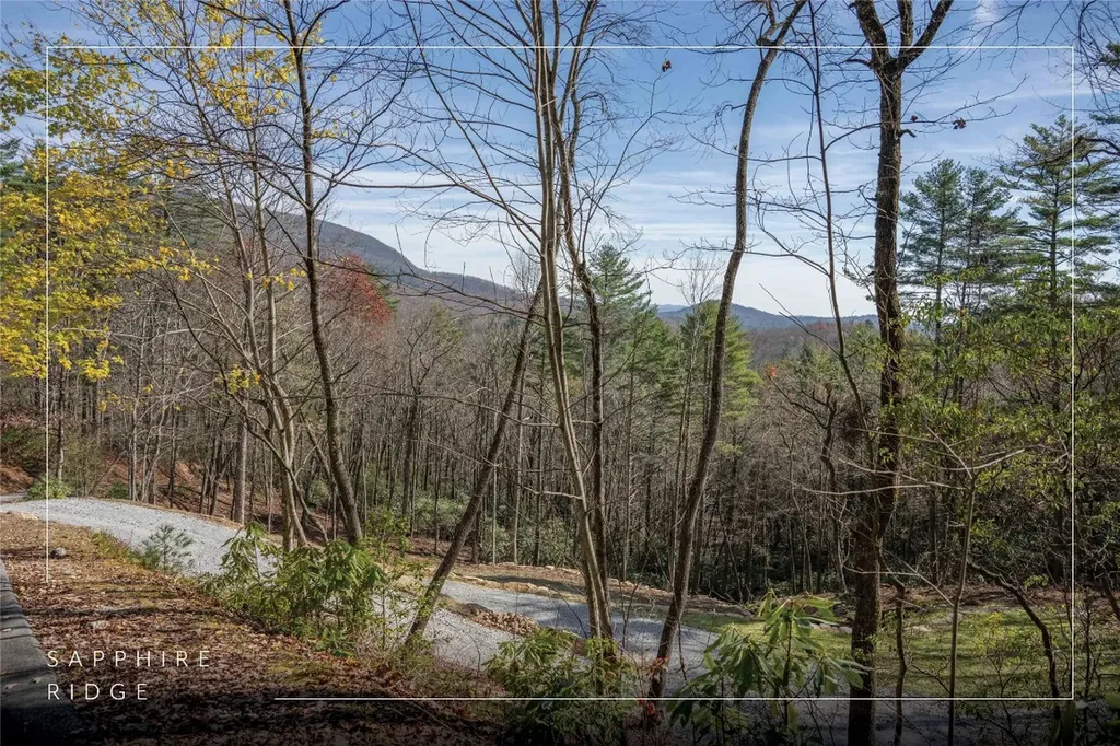 Lot 2 Sapphire Ridge Road Sapphire NC 28774