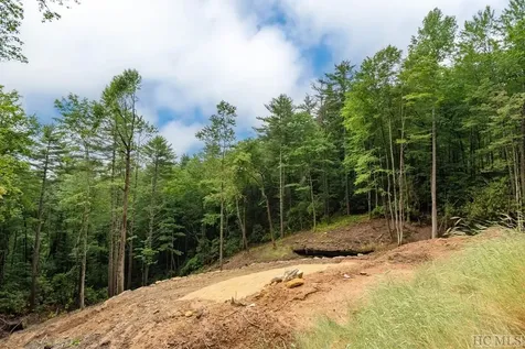 Lot 2 Sapphire Ridge Road Sapphire NC 28774