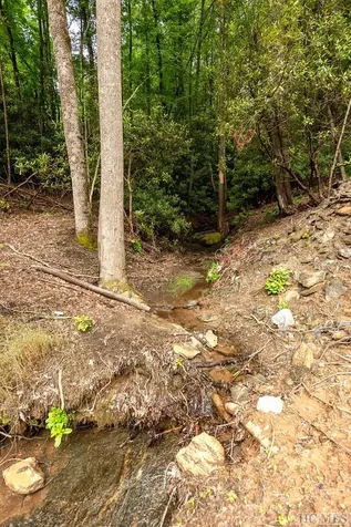 Lot 2 Sapphire Ridge Road Sapphire NC 28774