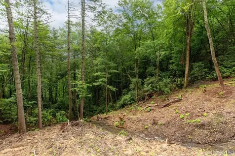 Lot 2 Sapphire Ridge Road Sapphire NC 28774