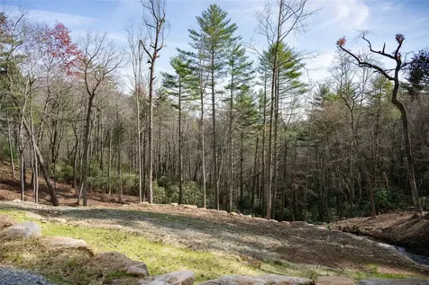 Lot 2 Sapphire Ridge Road Sapphire NC 28774