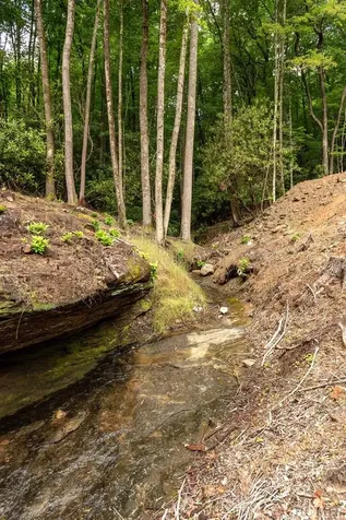 Lot 2 Sapphire Ridge Road Sapphire NC 28774