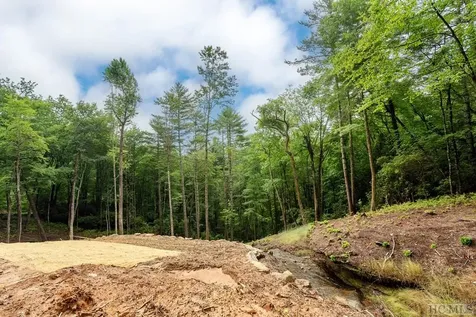 Lot 2 Sapphire Ridge Road Sapphire NC 28774